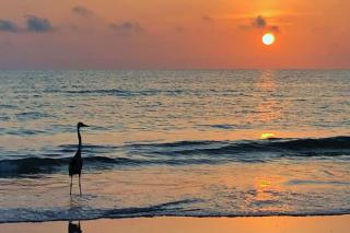 Reflections on the Gulf 505 - Clearwater Beach - 2