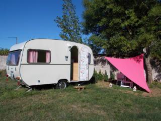 Camping du Petit Gué du Roi - Cléry-Saint-André - 7