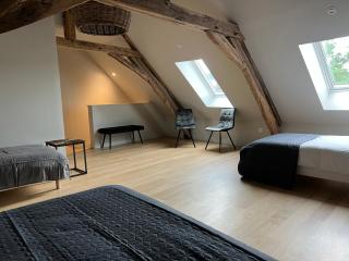 Appartements Domaine Gueguen Chablis - Chablis - 8