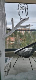Apartman_Mystic - Zlatibor - 9
