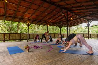 Rancho Margot Sustainable & Self Sufficient Eco Lodge - La Fortuna - 7