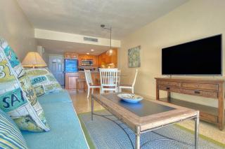 Sugar Sands B - St. Pete Beach - 7