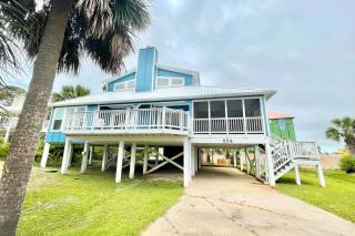 Shore Bird - Port Saint Joe - 5