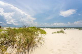 Shore to Please - Dauphin Island - 7