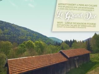 ⁂⁂ LE GRAND DUC Appartement [CLEDICIHOME] / Magnifique vue sur les montagnes / 4 KMs DE GERARDMER ! ⁂⁂ - Rochesson - 0