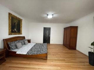 M & I Apartment 2 - Târgu-Mureş - 9