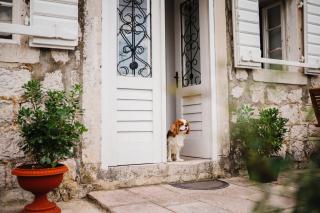 White Shutters House - Risan - 0