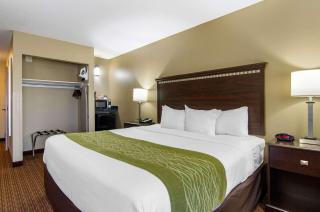 Comfort Inn & Suites Kansas City - Northeast - Kansas City - 3