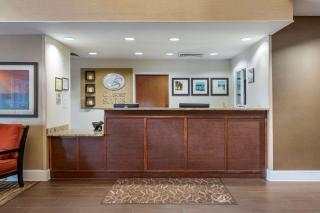 Comfort Suites Myrtle Beach Central - Myrtle Beach - 5