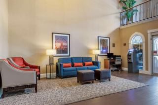 Comfort Suites Myrtle Beach Central - Myrtle Beach - 4