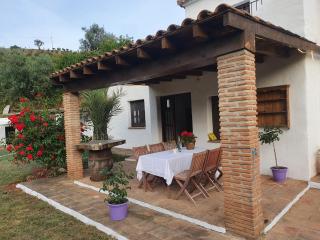 Casa del rio - Málaga - 8