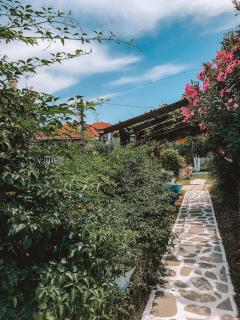 Liogerma Apartments - Pefkohori - 7