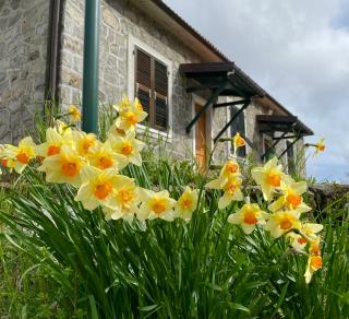 Colle del Faggio Nature Home - Cassego - 9