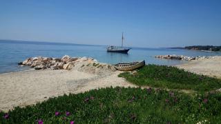 Porto Almira Beachfront Apartments - Nikiti - 7