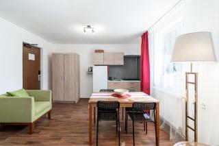 Pension Lesná - Jiřetín pod Jedlovou - 1