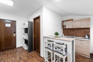 Pension Lesná - Jiřetín pod Jedlovou - 3