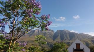 Die Hoenderhok and Die Plaashuisie - Swellendam - 3