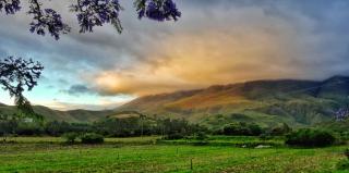 Die Hoenderhok and Die Plaashuisie - 6