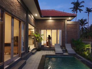Kidupa Villa - Ubud - 0