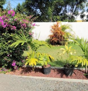 Jolie maison T3 à St Pierre, 2 chambres avec sdb, grande varangue, jardin - 4