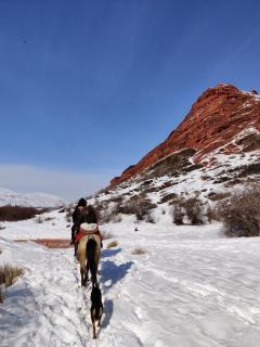 Kyrgyz Family Guesthouse & Horse Trekking near Karakol - 6