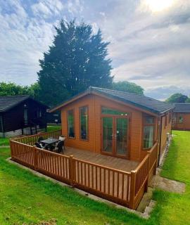 Relaxing 2-Bedroom holiday lodge in Cornwall - Liskeard - 7