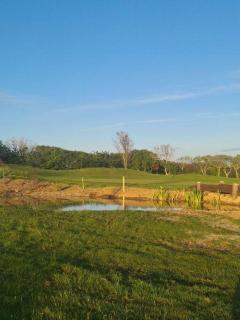 Relaxing 2-Bedroom holiday lodge in Cornwall - 5