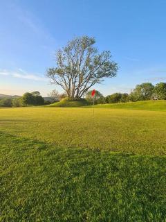 Relaxing 2-Bedroom holiday lodge in Cornwall - Liskeard - 3