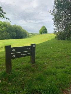 Relaxing 2-Bedroom holiday lodge in Cornwall - 1