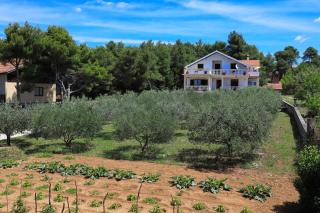 Apartmani Bruno - Bibinje - 9