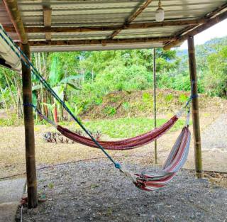 ESTANCIA LAS FLORES - 1