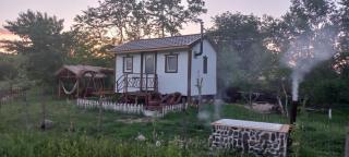 Căsuța Sara- the story of nature - Plopi - 0
