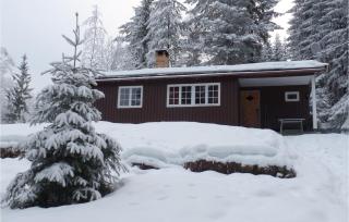 Holiday Home Hurdal Steinsjøveien - Hurdal - 4