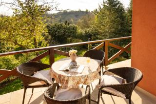 Apartment Villa Ema - Krapinske Toplice - 9