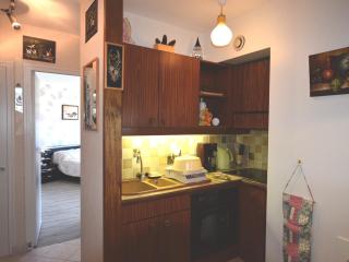 Appartement moderne à Évian, proche plage et commerces, acceptant animaux - FR-1-498-77 - Évian-les-Bains - 6