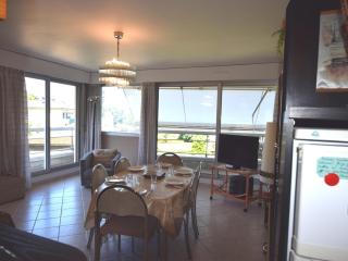 Appartement moderne à Évian, proche plage et commerces, acceptant animaux - FR-1-498-77 - Évian-les-Bains - 5