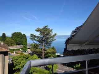 Appartement moderne à Évian, proche plage et commerces, acceptant animaux - FR-1-498-77 - Évian-les-Bains - 4