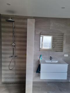 De droom - Koningsbosch - 7