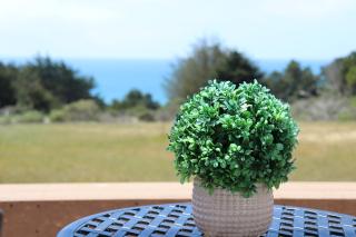 Cozy Getaway with Ocean View and Private Entrance! - Gualala - 0