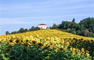 Lovely Home In Cauzac With Kitchen - Cauzac - 2