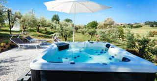 The Olive Grove in Tuscany - Toiano - 7