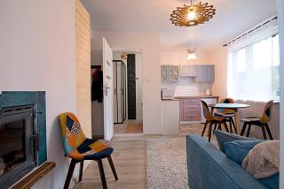Uroczy Apartament Muszynka - 9