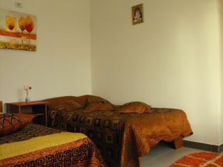 Casa Rustica Apart & Rooms - Cîmpineanca - 2