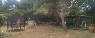 Il Boschetto tulipano - San Donato - 4