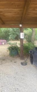 Il Boschetto tulipano - San Donato - 5