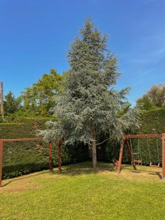 KOUROUTA VILLAS - Kourouta - 6