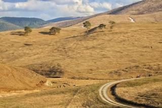 Casper Brvnara - Zlatibor - 5