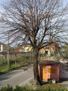B&B Laura - Pastrengo - 9