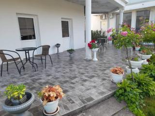 Išić apartmani - Veliko Gradište - 1