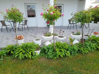 Išić apartmani - Veliko Gradište - 3